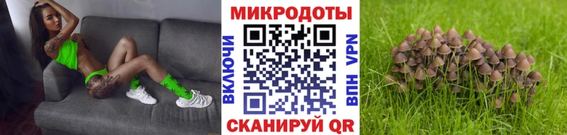 Псилоцибиновые грибы мицелий  blacksprut   Ярцево 